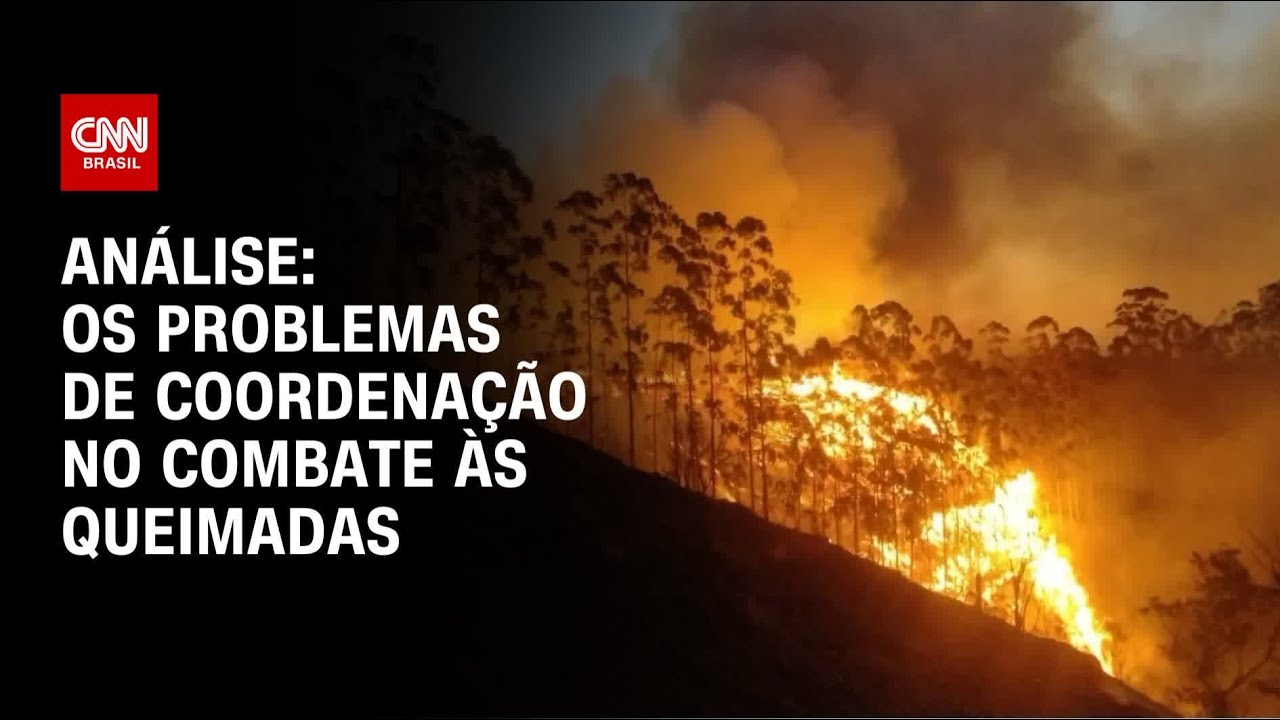 Análise: Os problemas de coordenação no combate às queimadas | WW