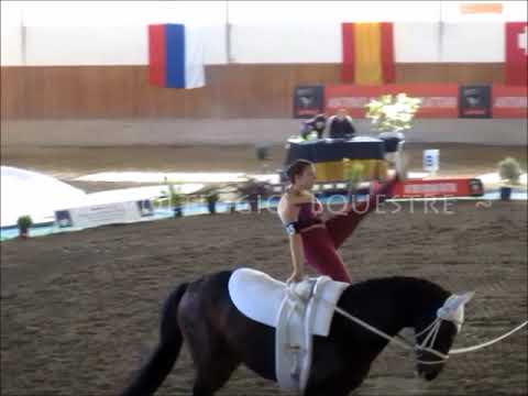 CVI Portogruaro 2018 - Volteggio - ind 2* s F - 4°Germania - Gwendolyn Groller