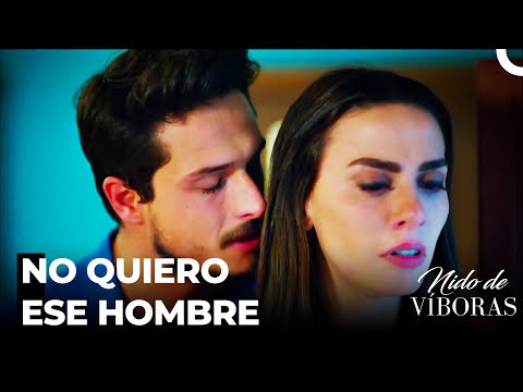 La Pelea También Está En El Amor - Nido De Víboras