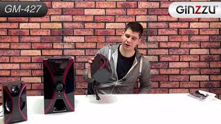 Колонки Bluetooth Ginzzu GM-427, 2.1, черный - купить в Ситилинк | 1175282
