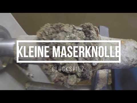 Wie drechselt man ... ?  Maserknolle drechseln / #woodturning #drechseln / Al#about#things