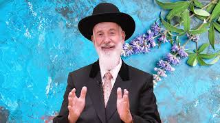 פרשת בלק 2025 | הרב יונה מצגר - מדהים! (ארגון ענפים) - התמונה מוצגת ישירות מתוך אתר האינטרנט יוטיוב. זכויות היוצרים בתמונה שייכות ליוצרה. קישור קרדיט למקור התוכן נמצא בתוך דף הסרטון