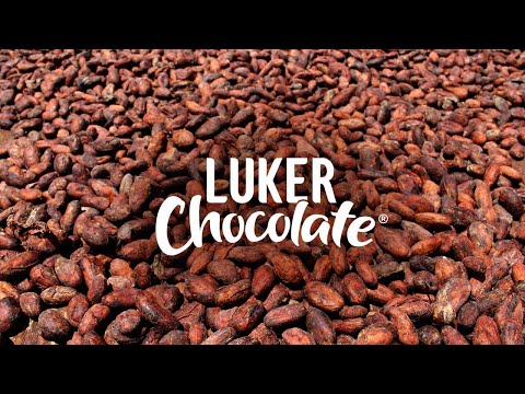 Chocolate Suppliers: Luker Chocolate Ingredients