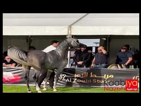 SHARIF AL SHEIKH . SHANGHAI EA BY WH JUSTICE & SERANZA BY KANZ AL BIDAYER