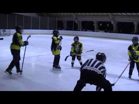 U12 382  2016.01.17 vasárnap  16:40  Miskolci Jegesmedvék B  -  MAC Budapest B