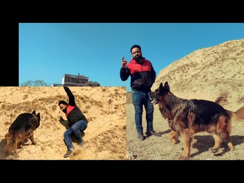Fun with Ebishr . pets vlog ❤️