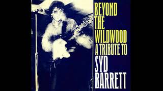Beyond the wildwood a tribute to Syd Barrett (1987) Full Album