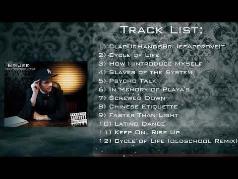 BriJee - Slaves Of The System