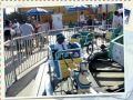 Coney Island 2012 Or 2013