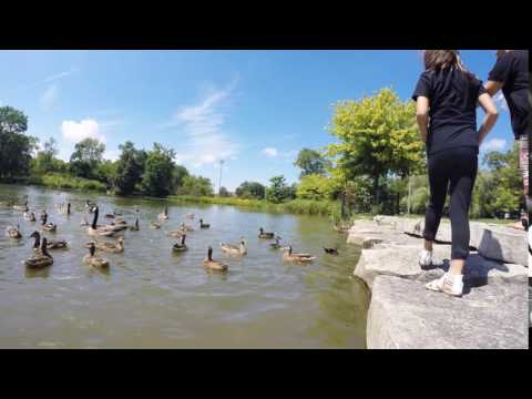 Humboldt Park, Chicago, IL