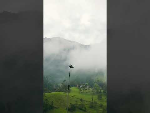 #cocoravalley #valledecora #colombia #salento #quindio #tavelcolombia #southamerica #adventure