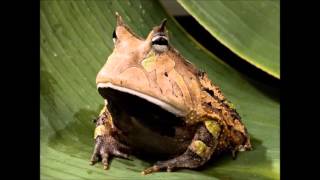 Andrew Weatherall 29th April 1993 sd1