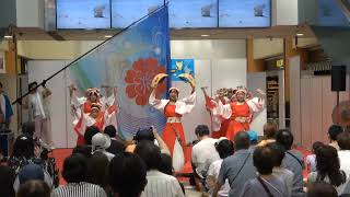 愛・彩媛２　４K～「愛媛よさこい ～夏の陣～ 彩の舞～」