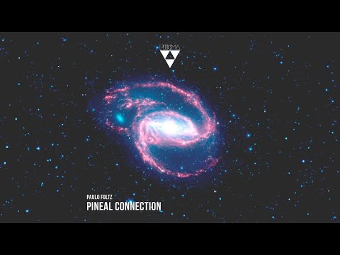 Paulo Foltz - Immersive [PRISM007]