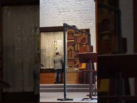 Jake Bar Mitzvah 2020