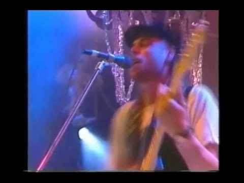 Thumbnail for Charlie Stubbings - Heartland Reggae on TV. by heartland regga