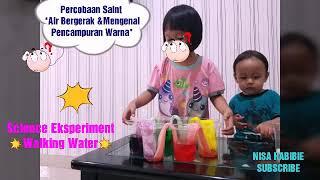 Download lagu NISA HABIBIE melakukan percobaan Air Bergerak, merambat, Berjalan💗Walking Water, Amaziiiing💗 mp3 Download lagu NISA HABIBIE melakukan percobaan Air Bergerak, merambat, Berjalan💗Walking Water, Amaziiiing💗 mp3