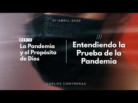 03 / Entendiendo la Prueba de la Pandemia