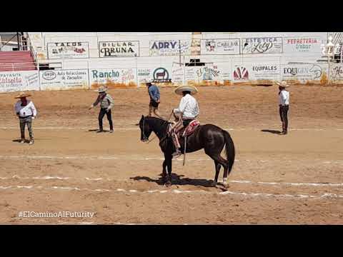 THE ROAD TO FUTURITY: Chapter 15 (Part 2 of 3)