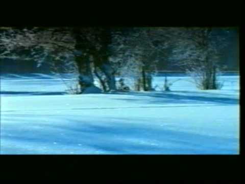 Scorefor - Heavyweight Champion