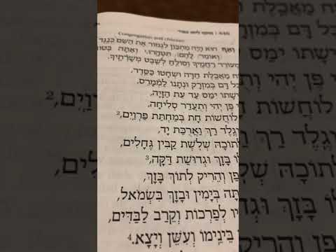 Chazan Nathan Gluck - V’af Hu (Rosenblatt)