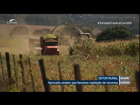 Proposta que visa facilitar captação de recursos pelo setor rural tem aprovação do Senado