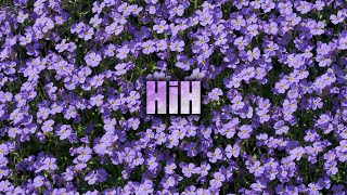 Tei Shi - Even If It Hurts ft. Blood Orange