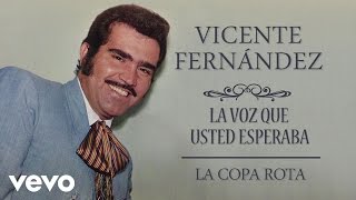 Vicente Fernández - La Copa Rota  - Cover Audio