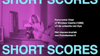 Short Scores | Palmbomen II