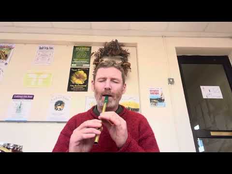 Miss Monaghan (Reel)