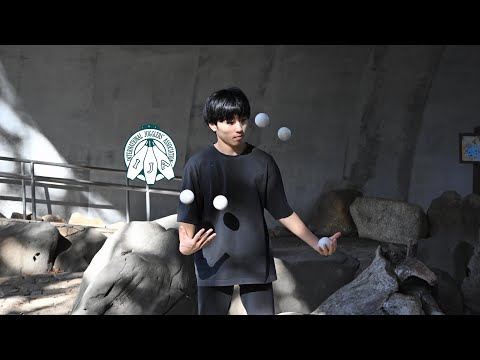 Ball Juggling by Hikari Shoji from Japan | IJA Tricks of the Month 