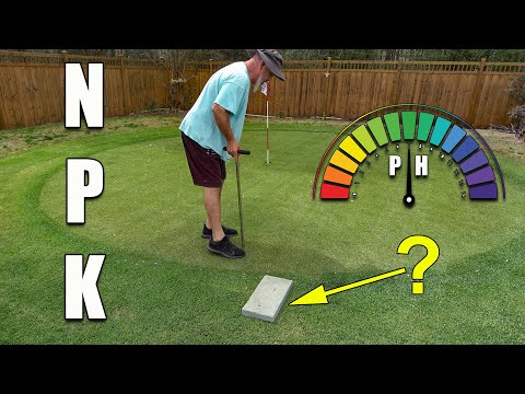 How to Test Lawn Soil and the Soil Test Results