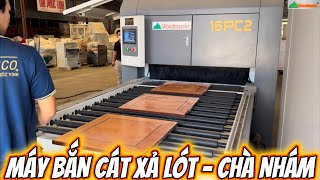 MÁY BẮN CÁT CHÀ NHÁM XẢ LÔNG - XẢ SƠN LÓT - CHÀ NHÁM