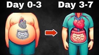 What Happens When You Don't Eat (Day by Day)