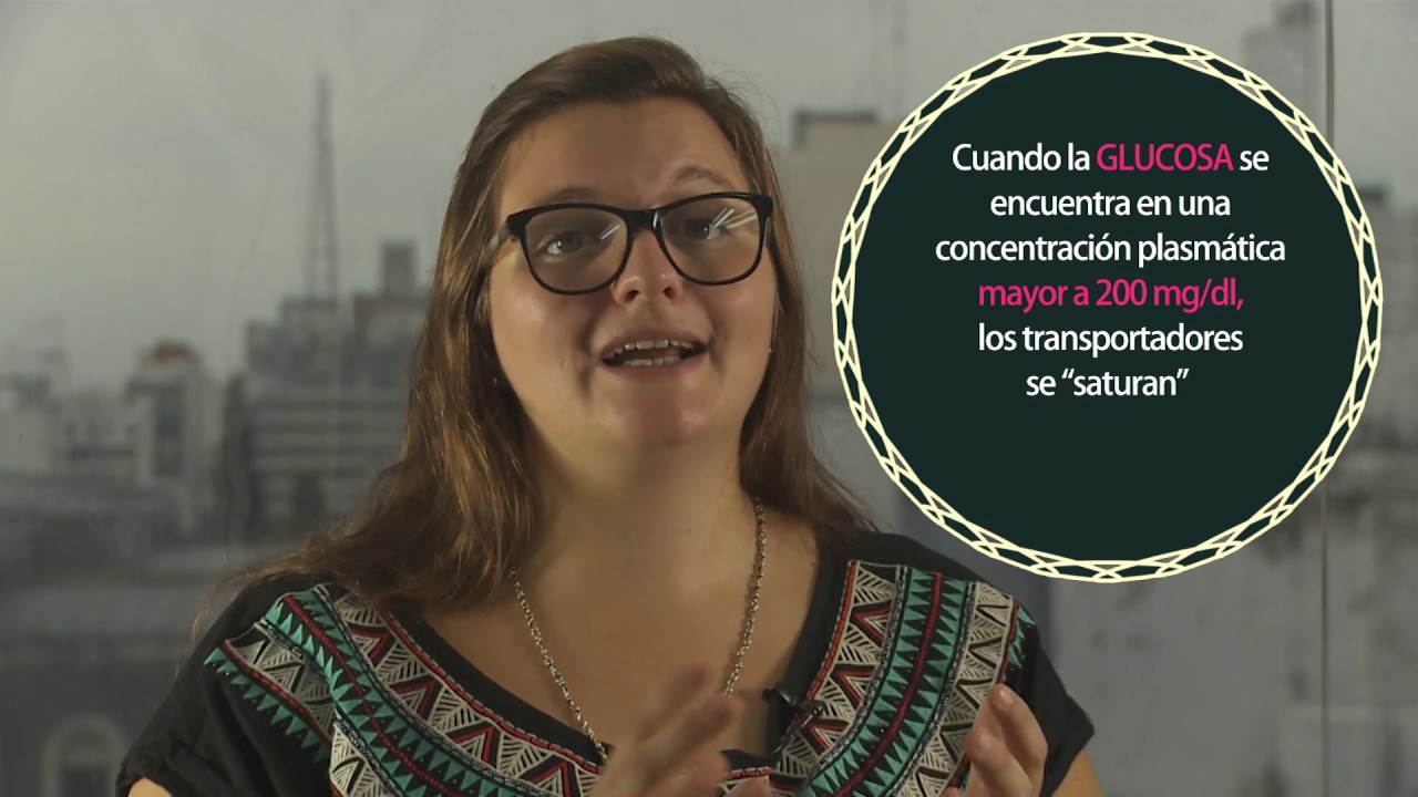 FISIOLOGÍA: Sistema Urinario. PARTE I