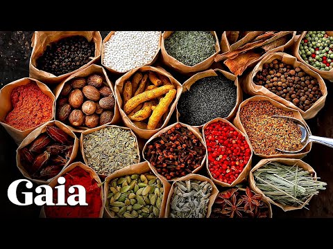 The Ancient Living Science of Ayurveda