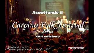 preview picture of video 'NO TRIV al Carpino Folk Festival 2011'