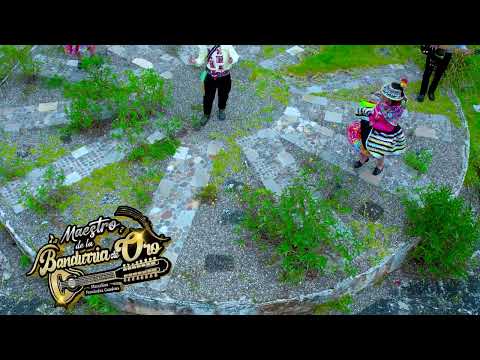 MAESTRO DE LA BANDURRIA Marcelino Fernández Cuadros Tema: Tucucha