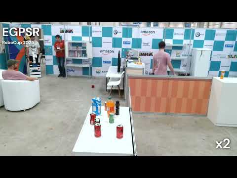Video demonstration