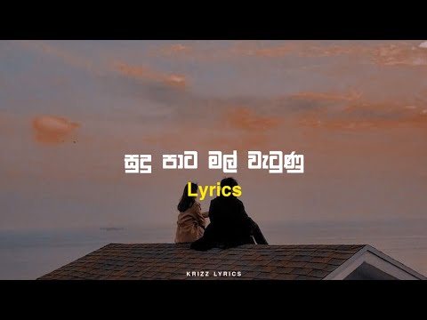 Sudu pata mal watunu සුදු පාට මල් වැටුණු | Lyrics | Amisha minol | Ahankara nagare | Krizz lyrics