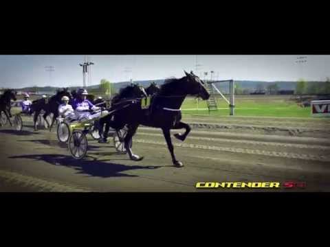 Contender sulkies by Finn-Tack