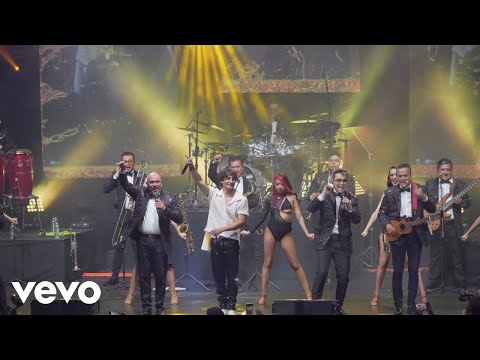 Super Lamas - La Botella