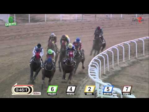 Success Story - Busan Racecourse - Nov 22, 2015
