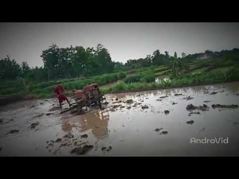 Anak kecil hebat nyopir traktor