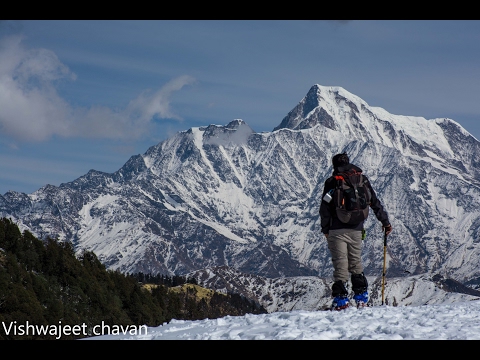 Dil Beparvah Music Video