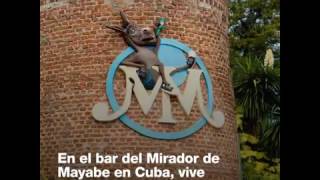 CubaLlama | El Burro de Mayabe