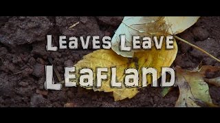 Leaves Leave Leafland – Von Glutmenschen und Rechenextremen