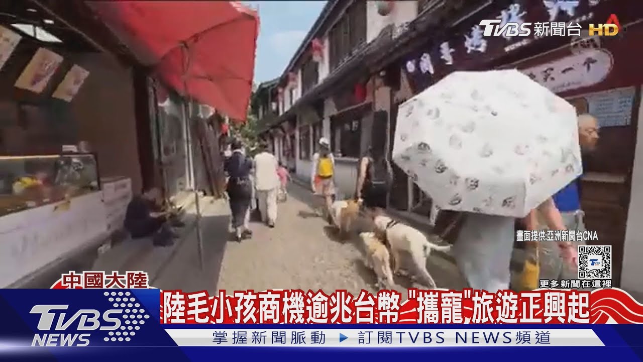 不生孩寵毛小孩 陸飼主砸數十萬「攜寵包機」出國遊