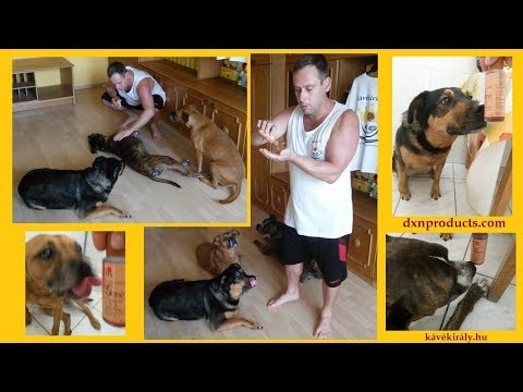 Dxn organic gano massage oil, 75 ml, prescription