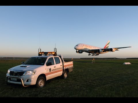 A Day in the Life of an Airside Operations Officer